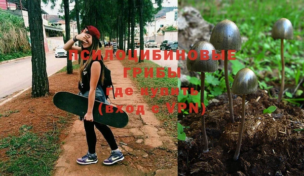 твердый Алексин